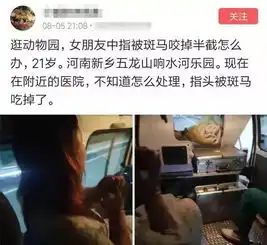 惊恐小情侣去动物园,女友被斑马咬掉半截手指,还吃掉了
