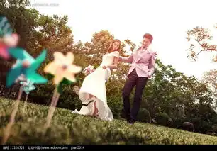 风车和情侣婚纱摄影图片免费下载编号3108323红动网
