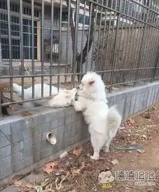我发现一个异地恋神器
