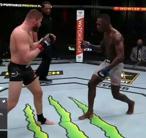 ufc黑龙失败乃成功之母,我要重回称霸中量级
