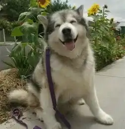 从你的眼睛里,我看到了你的世界
