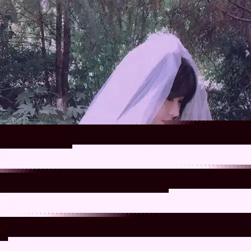 头纱头像
