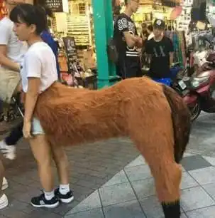 护理专业,唯一的男生,毕业照时全班女生一直要求他穿成新娘的样子拍照
