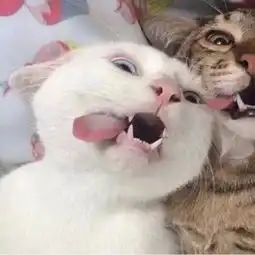 超好看情侣头像
