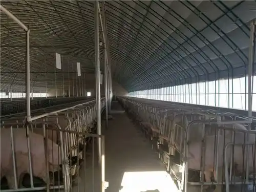 养猪大棚厂家伊春养猪大棚帅赫畜牧经久耐用查看
