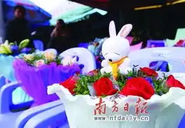 天气很冷玫瑰很热
