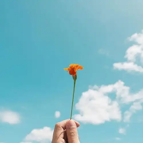 触动人心的人生感悟说说,现实透彻,引人共鸣
