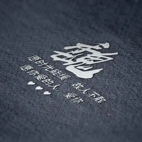 好看百家姓头像,灰色背影银色字体

