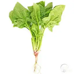 种子辅食价格,价格查询,种子辅食怎么样51比购返利网种子辅食比价
