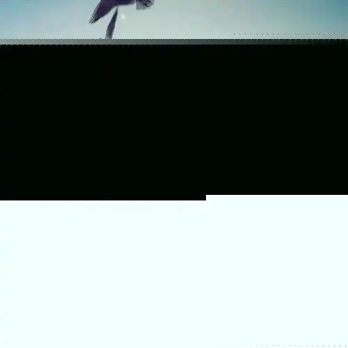 风起
