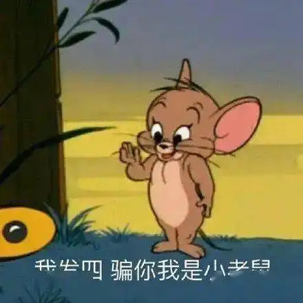 今天你拍一拍了吗这周那些事儿
