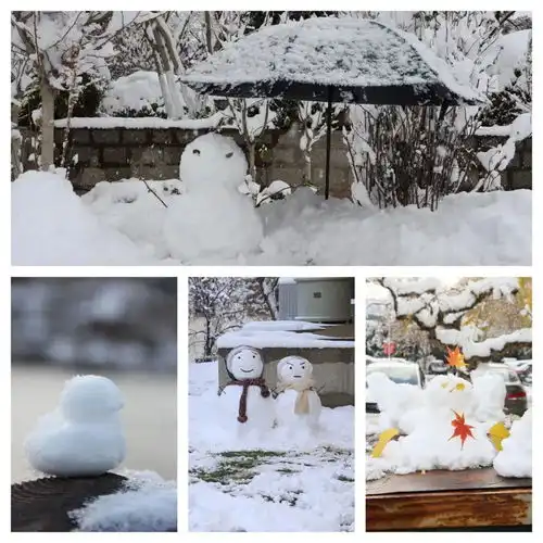 雪人造型大pk看山东高校新创意
