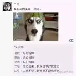 光棍节过去了,你外面是不是有狗了
