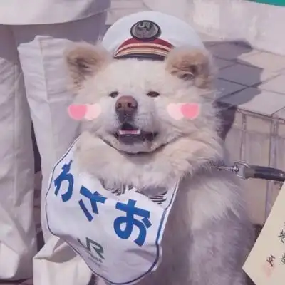 可爱小狗头像,主人都喜欢狗狗萌萌哒的
