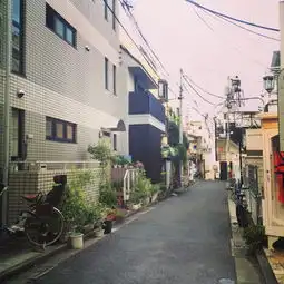 北海道之夏海量图片
