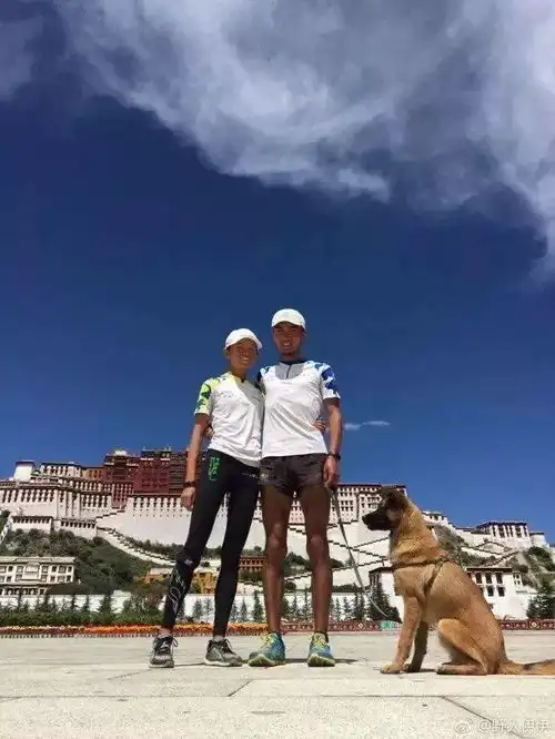 西藏,千万人的诗和远方

