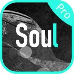 soul产品体验报告
