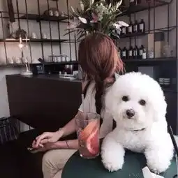 为什么狗总改不了吃屎终于找到原因了
