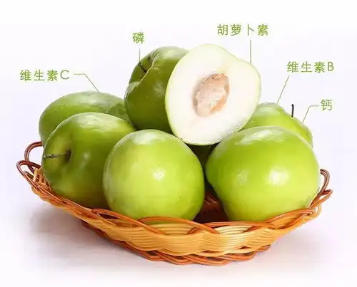 好消息灜悦生态园花山园区有机新鲜大青枣和灜富园区有机草莓上市啦欢迎新老顾客前来游园尝鲜
