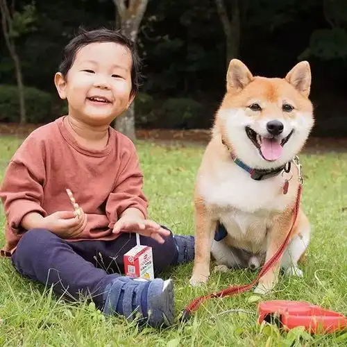 我喜欢你
