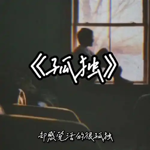 情感语录什么是孤独

