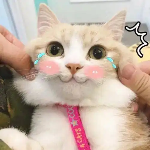 雨雨雨冷空气马上到
