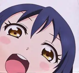 求lovelive9个人这个表情在一张图上的.我想做壁纸.不在一张也行.但要9个的下图这个跪求,长期等

