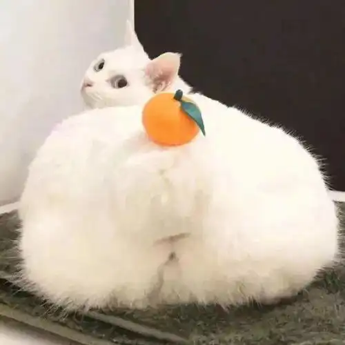 微信头像超级喜欢
