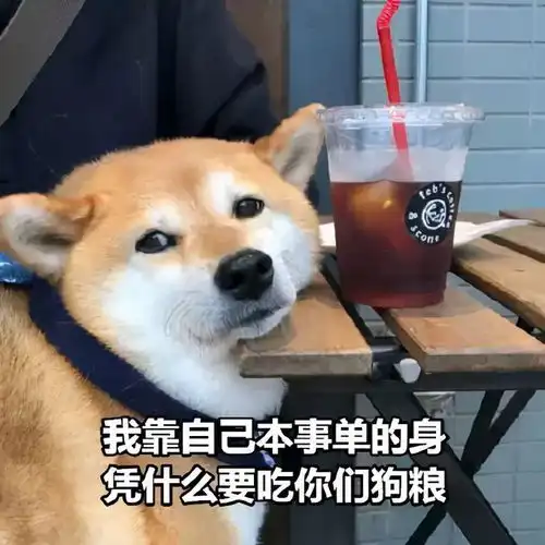 适合七夕节单身狗发的沙雕文案
