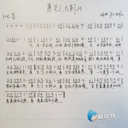 医疗湘军唱响最浓湘鄂情再见,大别山mv即将上线
