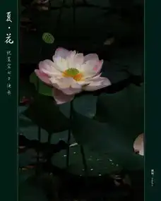 情人节到了,佛告诉你情人是什么
