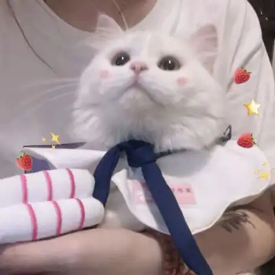 眼妆眼妆图片堆糖,美图壁纸兴趣社区
