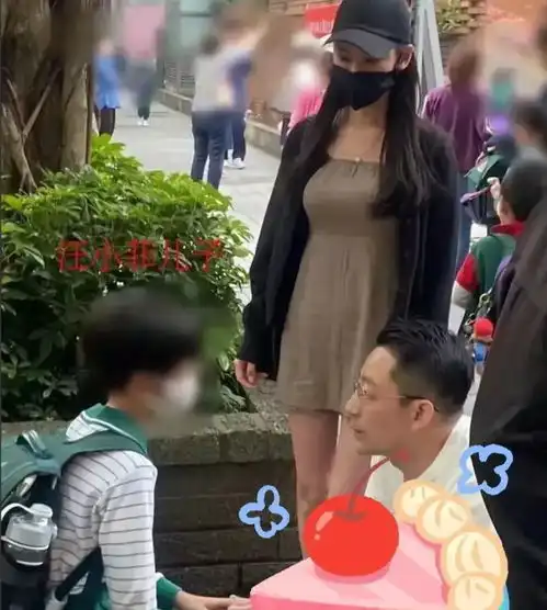 为什么大s一家6口抢孩子就没有人拍到呢
