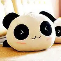 微信熊头像图片微信头像图片大全
