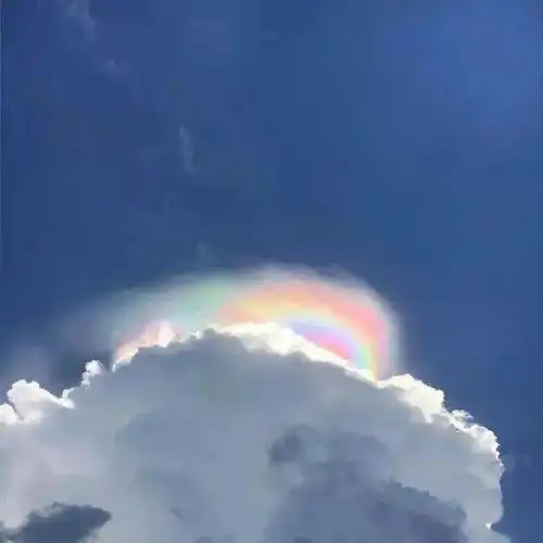 情感语录短句谁不想在生活里喘口气
