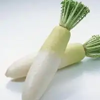 微信头像萝卜微信头像图片大全
