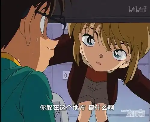 个人整理柯南已看集数
