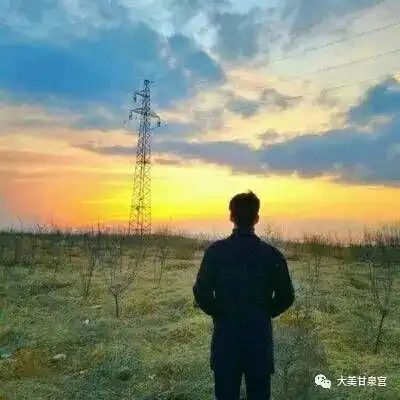 只待风起时,我们就盛开
