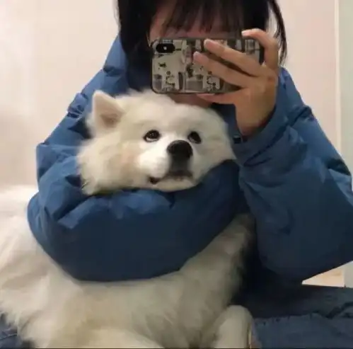 带狗狗的女生头像
