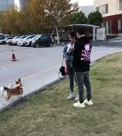 没换王思聪带陈雅婷遛狗穿情侣鞋撒狗粮
