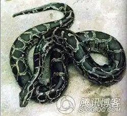 世界各地情侣匪夷所思的恋爱变态行为
