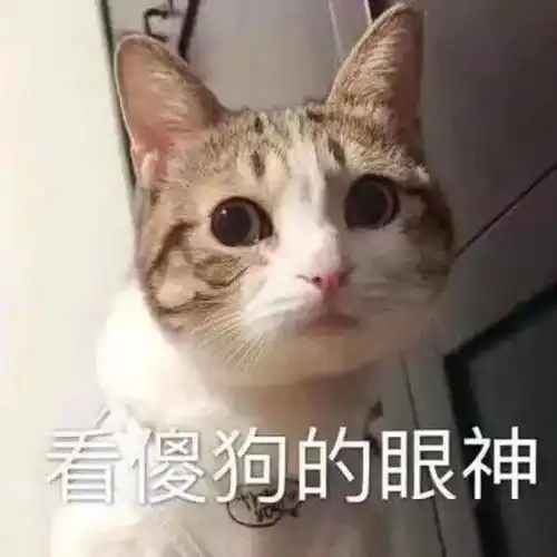 停车快停车丨第182期喵表情
