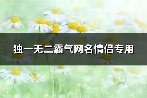 独一无二霸气网名情侣专用290个
