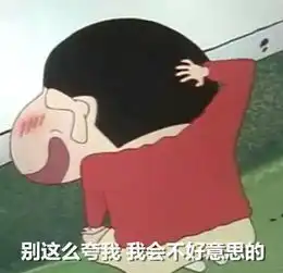 表情sir蜡笔小新表情包合集
