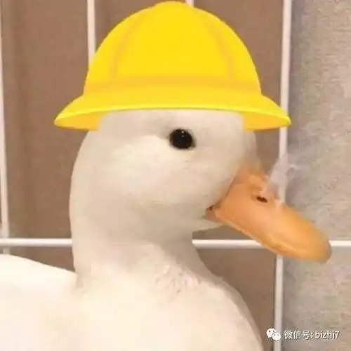 2018好看的微信头像
