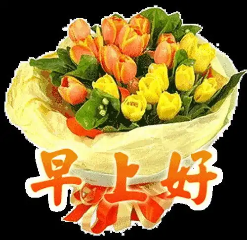 清晨祝福大家早上好的问候语录问候早上好图片动态带字
