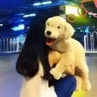 用宠物做头像的女生微信头像图片大全

