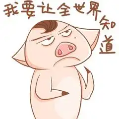 2008年粉红小猪qq头像qq头像小猪
