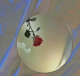 老张同志的故事
