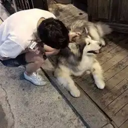 是风是雨都过去了.也不记得那天qq男生头像我要个性网
